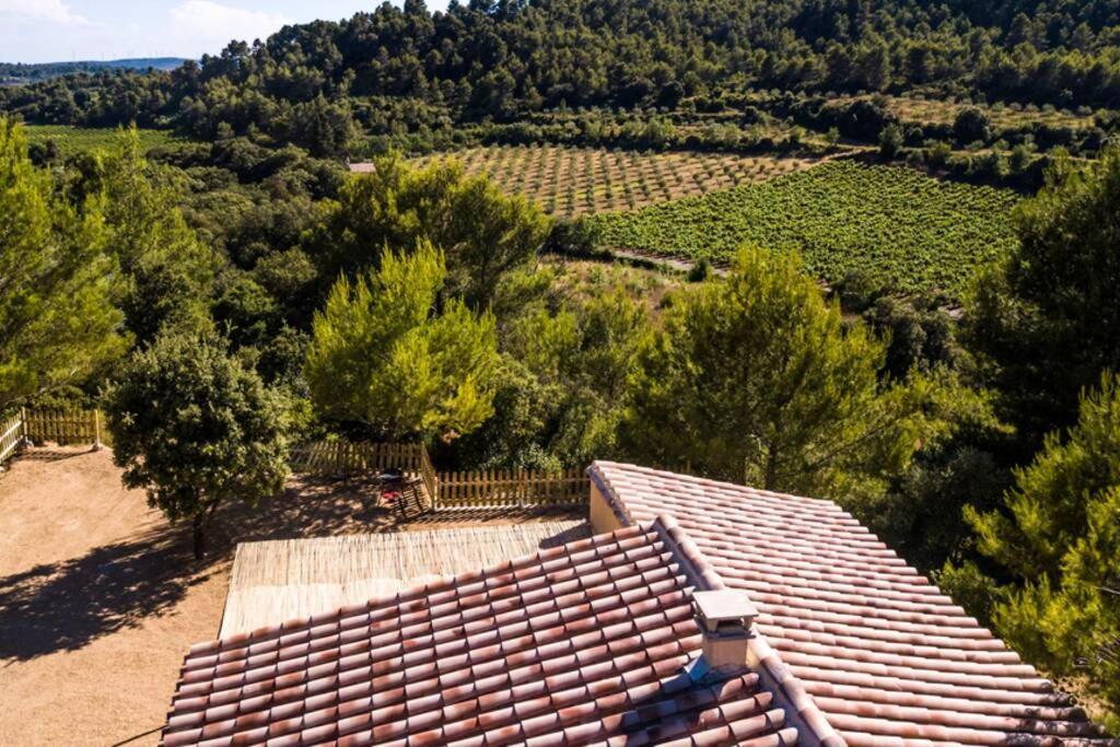 L'Arbre à soleil Vila Aigues-Vives  Exterior foto
